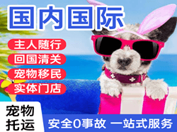 郑州新郑机场快运国际宠物托运 【国